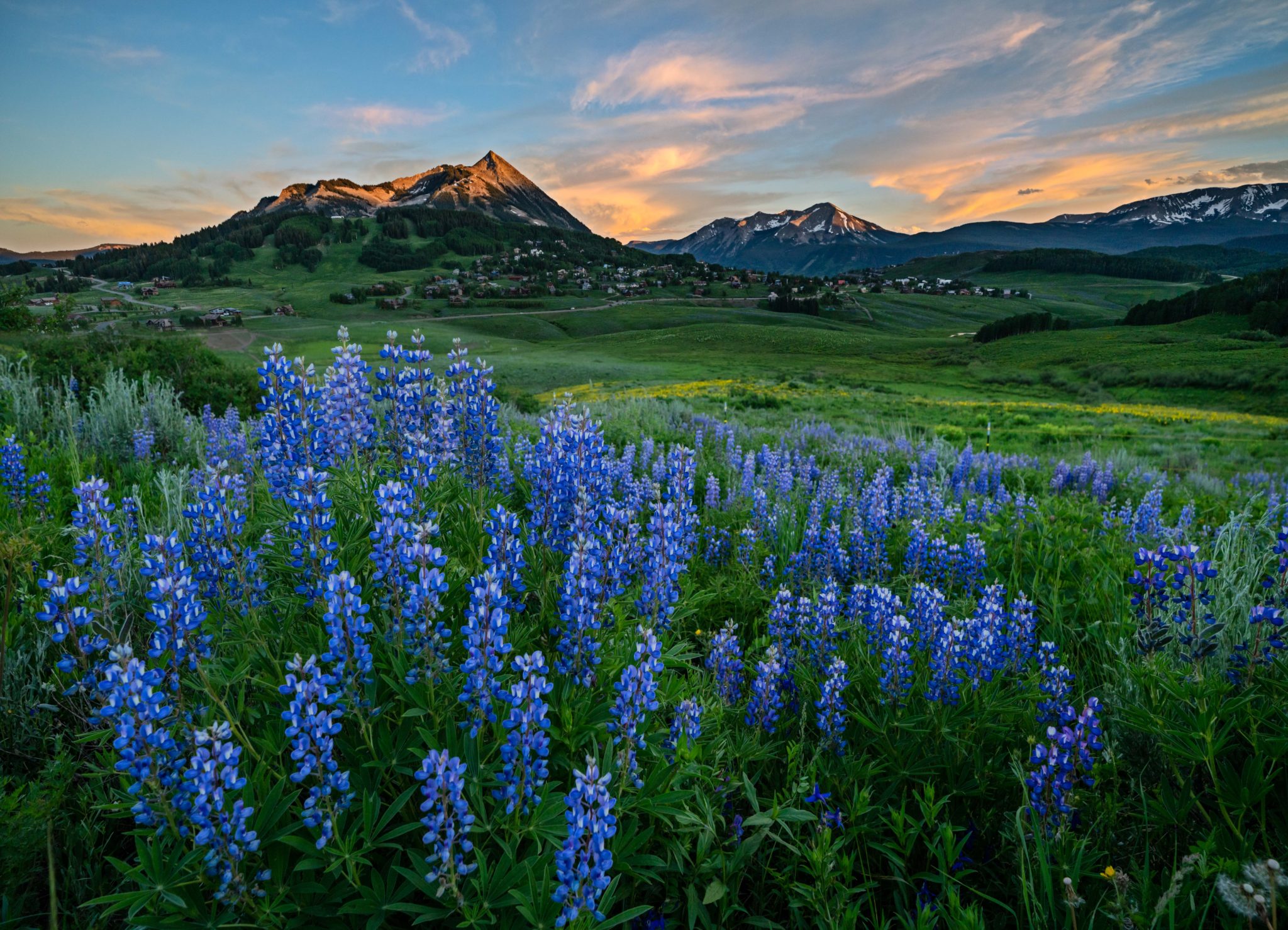 JJJ2 Crested Butte Wildflower Festival