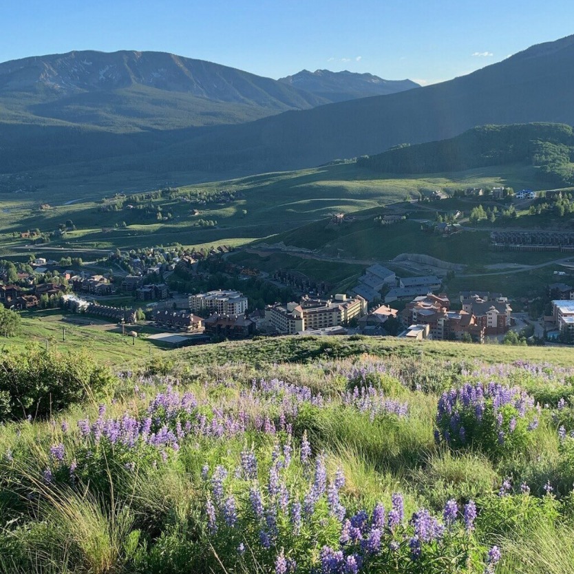 Crested Butte Wildflower Festival In the Wildflower Capital of Colorado