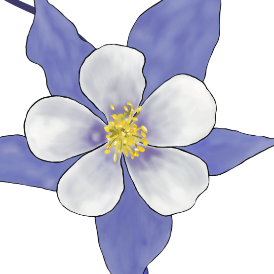 Crested Butte Wildflower Festival