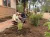 Depot Garden Update!